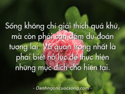 Sống không chỉ giải thích quá khứ, mà còn phải can đảm dự đoán tương lai. Và quan trọng nhất là phải biết nỗ lực để thực hiện những mục đích cho hiện tại.