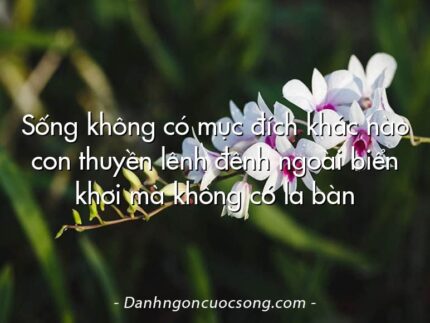 Sống không có mục đích khác nào con thuyền lênh đênh ngoài biển khơi mà không có la bàn