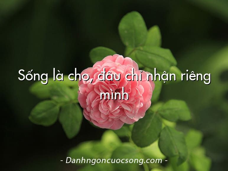 Sống là cho, đâu chỉ nhận riêng mình