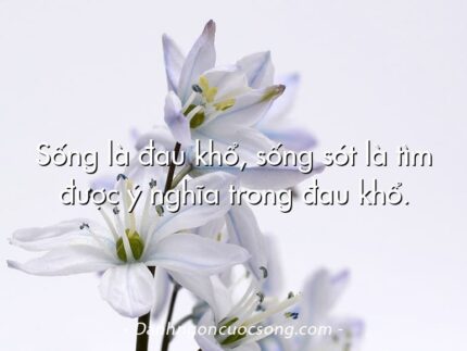 Sống là đau khổ, sống sót là tìm được ý nghĩa trong đau khổ.