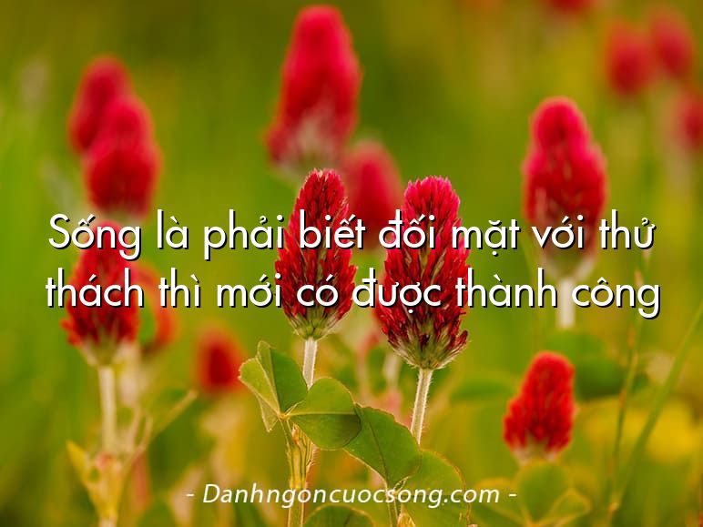 Sống là phải biết đối mặt với thử thách thì mới có được thành công