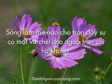Sống làm thế nào cho tròn đầy sự có mặt và chết cho ngập tràn cõi hư không.