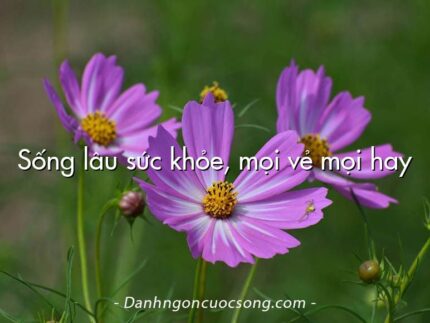 Sống lâu sức khỏe, mọi vẻ mọi hay