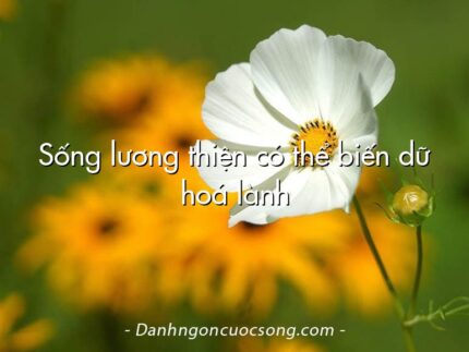 Sống lương thiện có thể biến dữ hoá lành