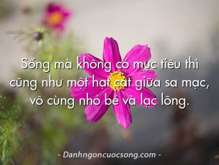 Sống mà không có mục tiêu thì cũng như một hạt cát giữa sa mạc, vô cùng nhỏ bé và lạc lõng.