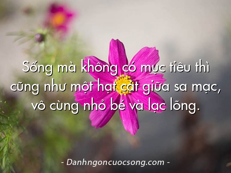 Sống mà không có mục tiêu thì cũng như một hạt cát giữa sa mạc, vô cùng nhỏ bé và lạc lõng.