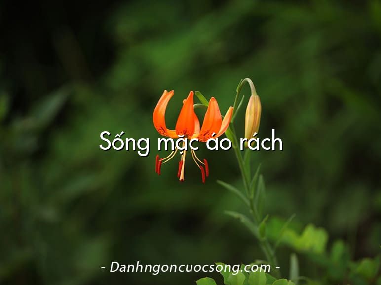 Sống mặc áo rách