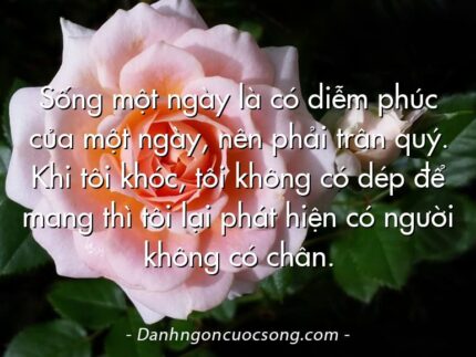 Sống một ngày là có diễm phúc của một ngày, nên phải trân quý. Khi tôi khóc, tôi không có dép để mang thì tôi lại phát hiện có người không có chân.