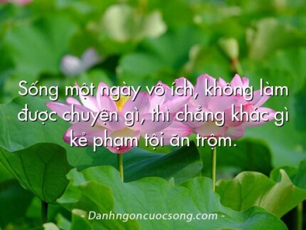 Sống một ngày vô ích, không làm được chuyện gì, thì chẳng khác gì kẻ phạm tội ăn trộm.