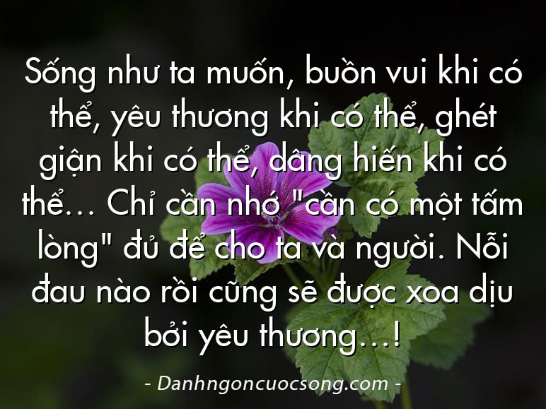 Sống như ta muốn, buồn vui khi có thể, yêu thương khi có thể, ghét giận khi có thể, dâng hiến khi có thể… Chỉ cần nhớ "cần có một tấm lòng" đủ để cho ta và người. Nỗi đau nào rồi cũng sẽ được xoa dịu bởi yêu thương…!