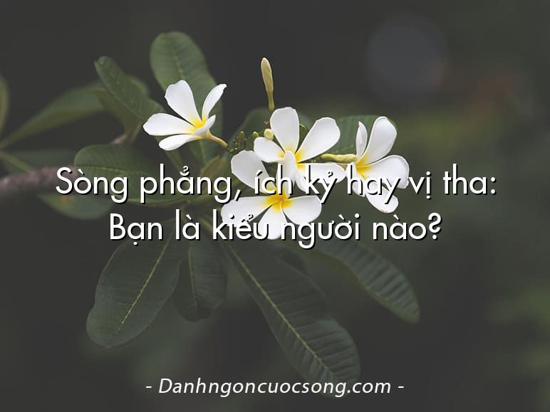 Sòng phẳng, ích kỷ hay vị tha: Bạn là kiểu người nào?
