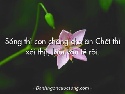 Sống thì con chẳng cho ăn Chết thì xôi thịt, làm văn tế rồi.