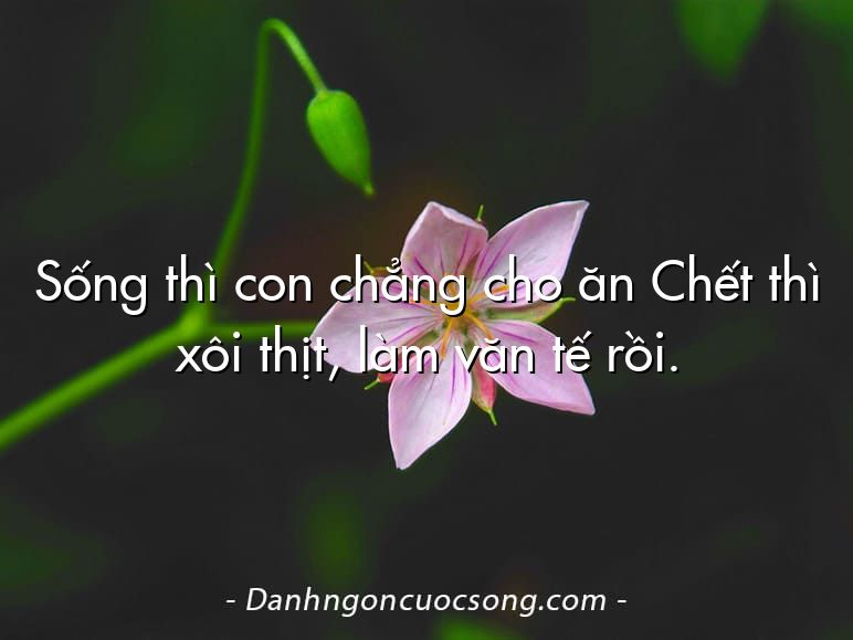 Sống thì con chẳng cho ăn Chết thì xôi thịt, làm văn tế rồi.