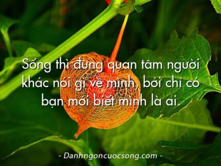 Sống thì đừng quan tâm người khác nói gì về mình, bởi chỉ có bạn mới biết mình là ai.