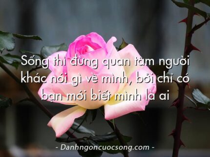 Sống thì đừng quan tâm người khác nói gì về mình, bởi chỉ có bạn mới biết mình là ai