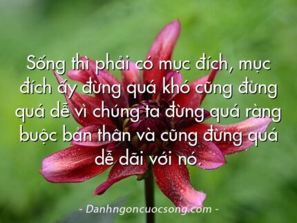Sống thì phải có mục đích, mục đích ấy đừng quá khó cũng đừng quá dễ vì chúng ta đừng quá ràng buộc bản thân và cũng đừng quá dễ dãi với nó.