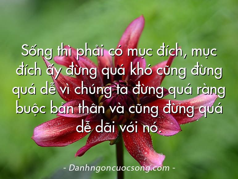 Sống thì phải có mục đích, mục đích ấy đừng quá khó cũng đừng quá dễ vì chúng ta đừng quá ràng buộc bản thân và cũng đừng quá dễ dãi với nó.