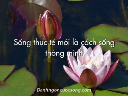 Sống thực tế mới là cách sống thông minh