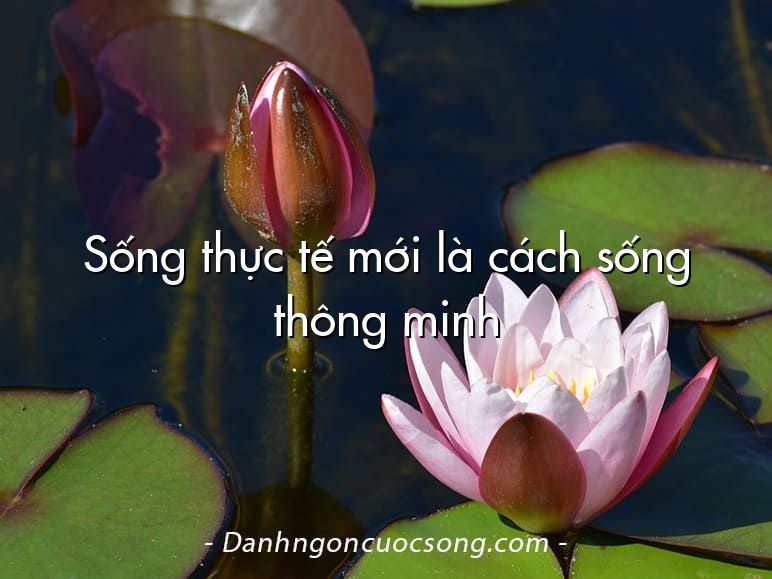 Sống thực tế mới là cách sống thông minh