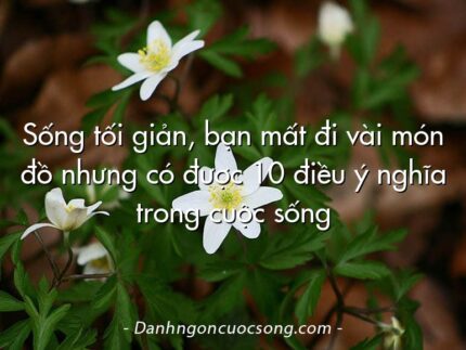 Sống tối giản, bạn mất đi vài món đồ nhưng có được 10 điều ý nghĩa trong cuộc sống