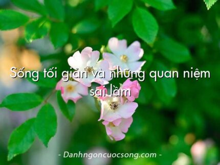 Sống tối giản và những quan niệm sai lầm