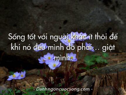 Sống tốt với người khác ít thôi để khi nó đểu mình đỡ phải… giật mình.