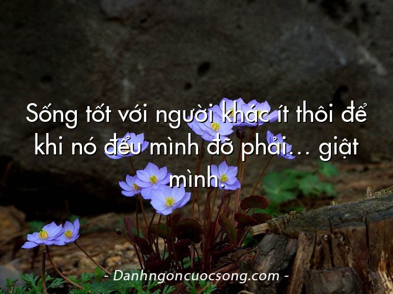 Sống tốt với người khác ít thôi để khi nó đểu mình đỡ phải… giật mình.