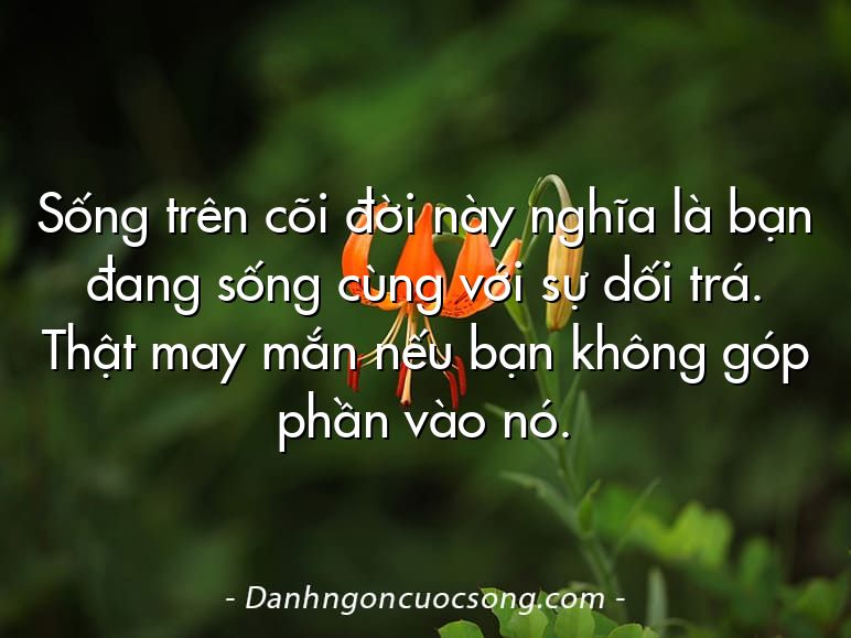 Sống trên cõi đời này nghĩa là bạn đang sống cùng với sự dối trá. Thật may mắn nếu bạn không góp phần vào nó.