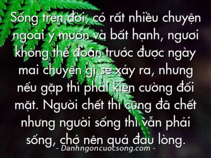 Sống trên đời, có rất nhiều chuyện ngoài ý muốn và bất hạnh, ngươi không thể đoán trước được ngày mai chuyện gì sẽ xảy ra, nhưng nếu gặp thì phải kiên cường đối mặt. Người chết thì cũng đã chết nhưng người sống thì vẫn phải sống, chớ nên quá đau lòng.