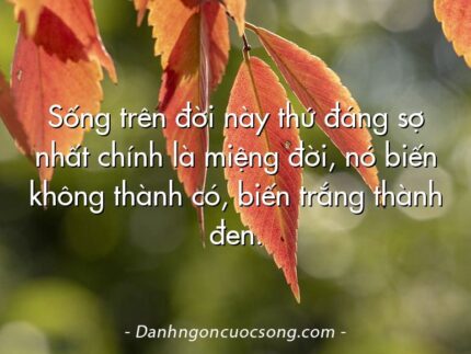 Sống trên đời này thứ đáng sợ nhất chính là miệng đời, nó biến không thành có, biến trắng thành đen.