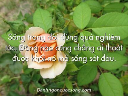 Sống trong đời đừng quá nghiêm túc. Đằng nào cũng chẳng ai thoát được khỏi nó mà sống sót đâu.