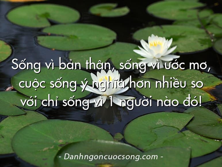 Sống vì bản thân, sống vì ước mơ, cuộc sống ý nghĩa hơn nhiều so với chỉ sống vì 1 người nào đó!