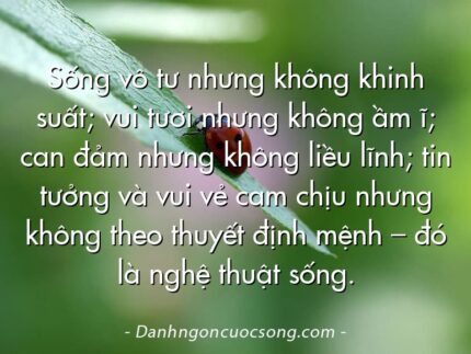 Sống vô tư nhưng không khinh suất; vui tươi nhưng không ầm ĩ; can đảm nhưng không liều lĩnh; tin tưởng và vui vẻ cam chịu nhưng không theo thuyết định mệnh – đó là nghệ thuật sống.