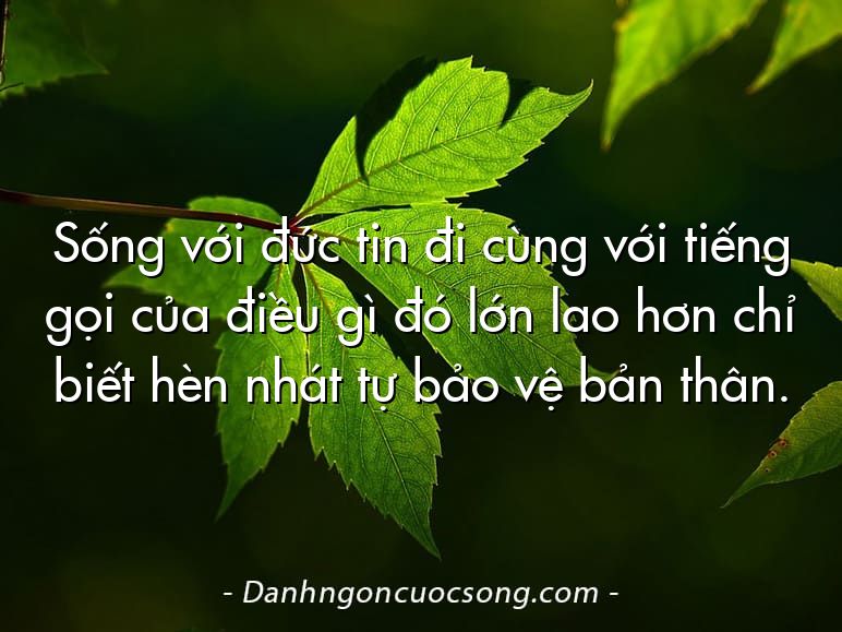 Sống với đức tin đi cùng với tiếng gọi của điều gì đó lớn lao hơn chỉ biết hèn nhát tự bảo vệ bản thân.