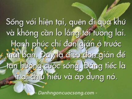Sống với hiện tại, quên đi quá khứ và không cần lo lắng tới tương lai. Hạnh phúc chỉ đơn giản ở trước mắt bạn. Đây là điều đơn giản để tận hưởng cuộc sống. Đáng tiếc là ít ai chịu hiểu và áp dụng nó.