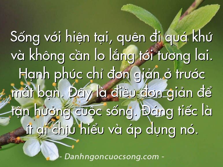 Sống với hiện tại, quên đi quá khứ và không cần lo lắng tới tương lai. Hạnh phúc chỉ đơn giản ở trước mắt bạn. Đây là điều đơn giản để tận hưởng cuộc sống. Đáng tiếc là ít ai chịu hiểu và áp dụng nó.