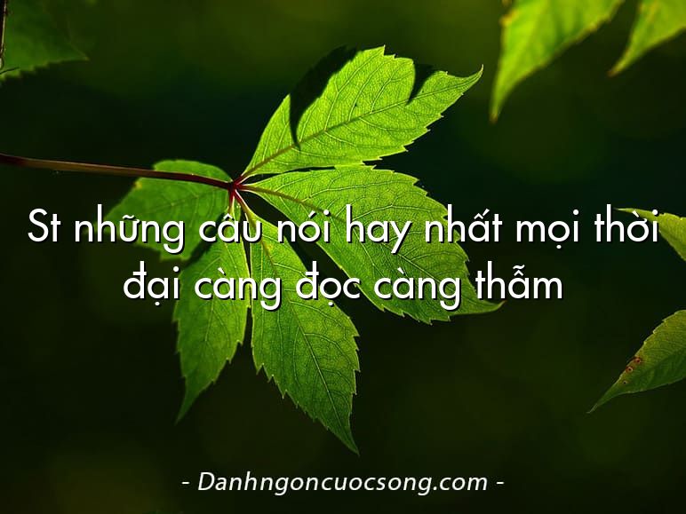 St những câu nói hay nhất mọi thời đại càng đọc càng thẫm