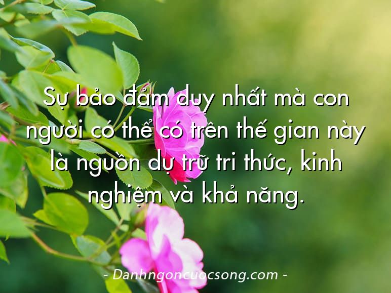 Sự bảo đảm duy nhất mà con người có thể có trên thế gian này là nguồn dự trữ tri thức, kinh nghiệm và khả năng.