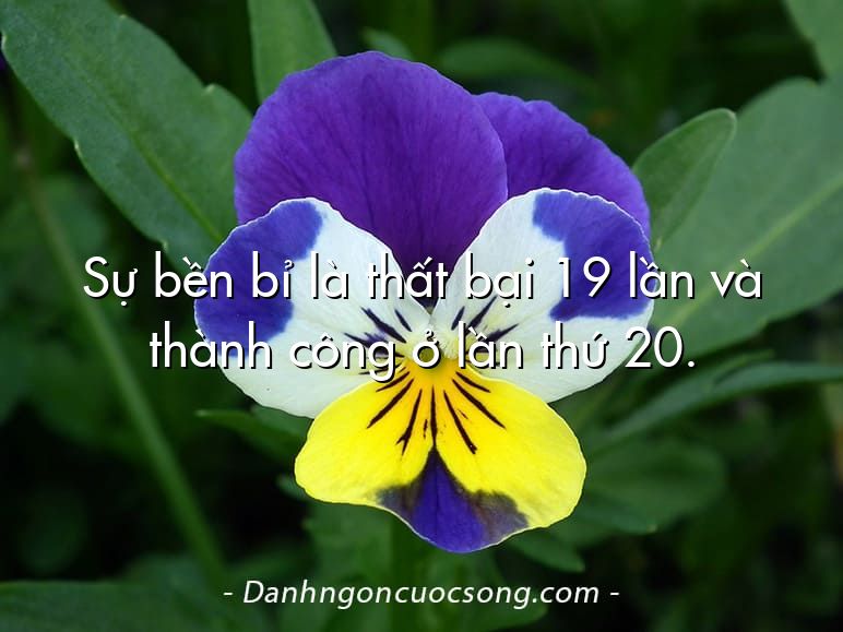 Sự bền bỉ là thất bại 19 lần và thành công ở lần thứ 20.