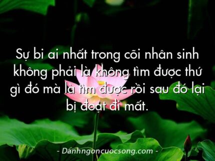 Sự bi ai nhất trong cõi nhân sinh không phải là không tìm được thứ gì đó mà là tìm được rồi sau đó lại bị đoạt đi mất.