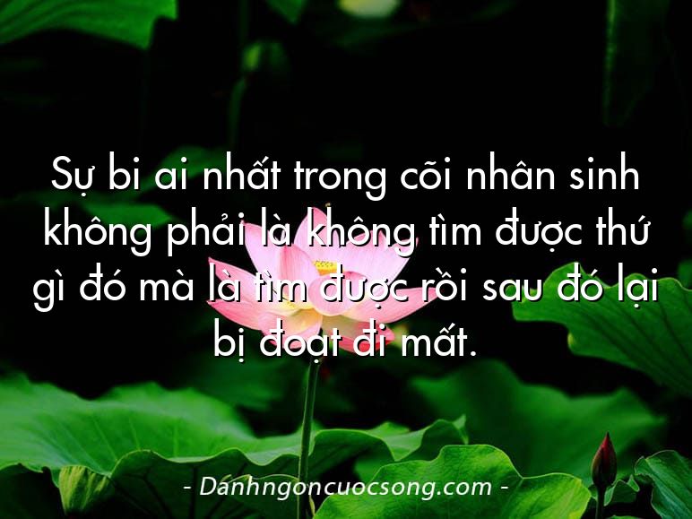 Sự bi ai nhất trong cõi nhân sinh không phải là không tìm được thứ gì đó mà là tìm được rồi sau đó lại bị đoạt đi mất.