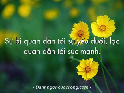 Sự bi quan dẫn tới sự yếu đuối, lạc quan dẫn tới sức mạnh.