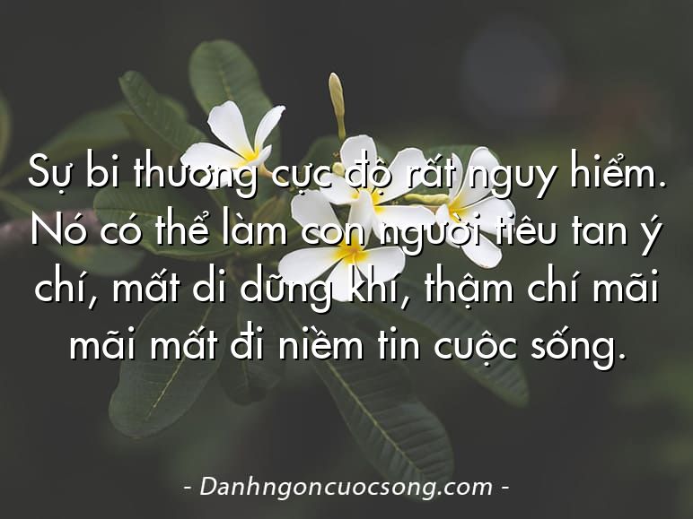 Sự bi thương cực độ rất nguy hiểm. Nó có thể làm con người tiêu tan ý chí, mất di dũng khí, thậm chí mãi mãi mất đi niềm tin cuộc sống.
