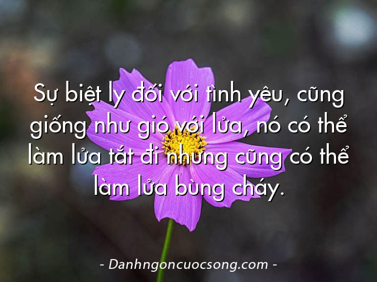 Sự biệt ly đối với tình yêu, cũng giống như gió với lửa, nó có thể làm lửa tắt đi nhưng cũng có thể làm lửa bùng cháy.