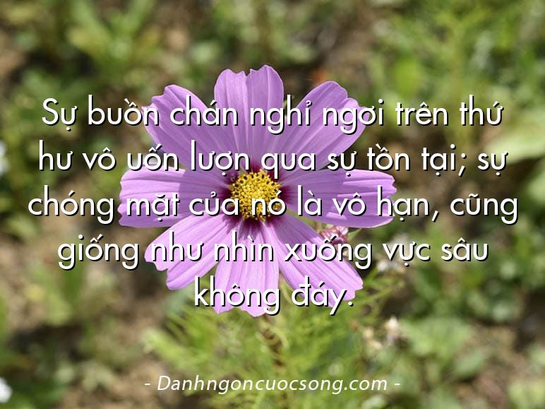 Sự buồn chán nghỉ ngơi trên thứ hư vô uốn lượn qua sự tồn tại; sự chóng mặt của nó là vô hạn, cũng giống như nhìn xuống vực sâu không đáy.