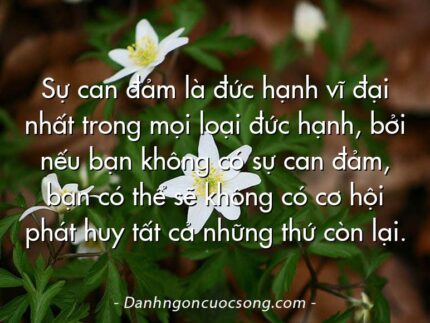 Sự can đảm là đức hạnh vĩ đại nhất trong mọi loại đức hạnh, bởi nếu bạn không có sự can đảm, bạn có thể sẽ không có cơ hội phát huy tất cả những thứ còn lại.