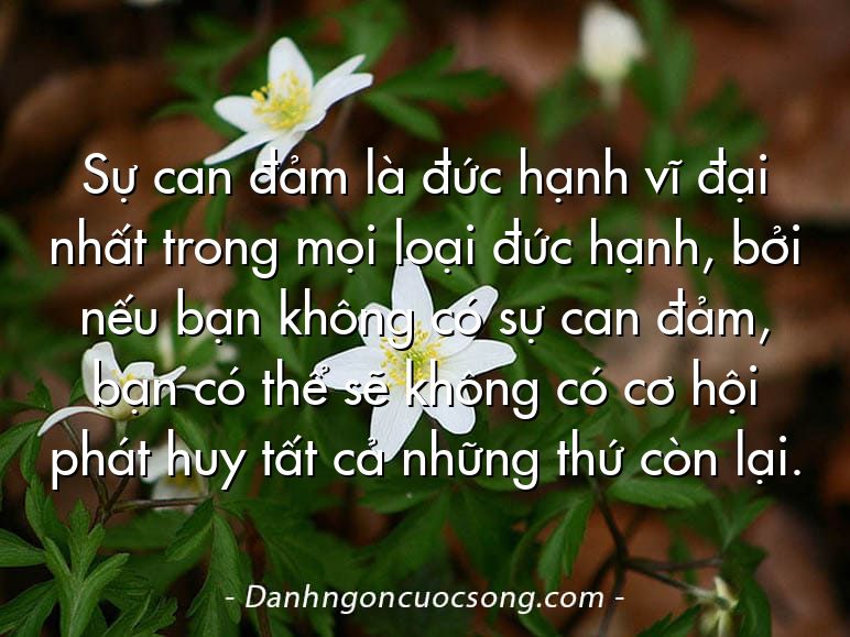 Sự can đảm là đức hạnh vĩ đại nhất trong mọi loại đức hạnh, bởi nếu bạn không có sự can đảm, bạn có thể sẽ không có cơ hội phát huy tất cả những thứ còn lại.