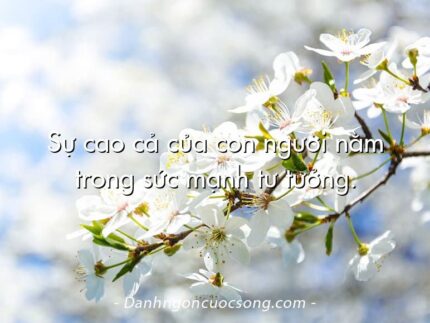 Sự cao cả của con người nằm trong sức mạnh tư tưởng.