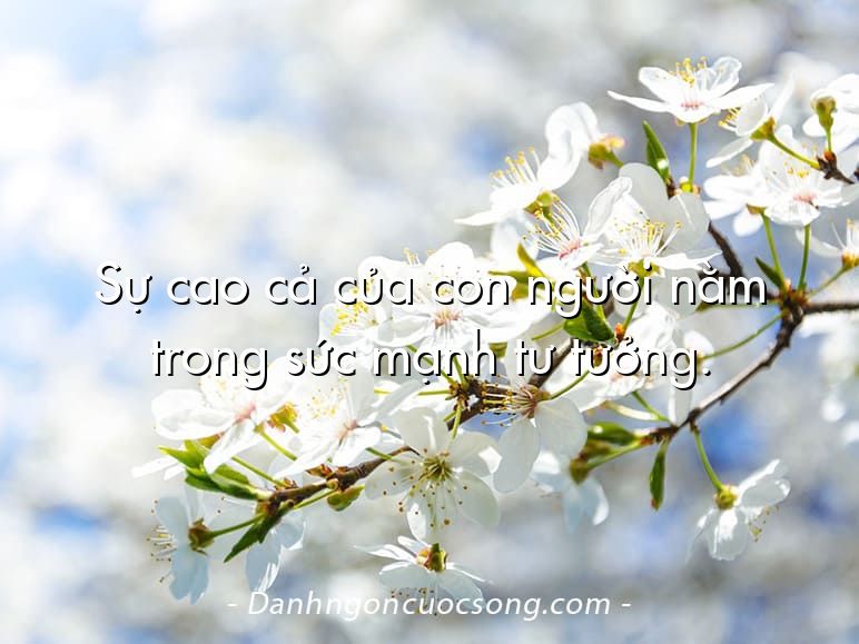 Sự cao cả của con người nằm trong sức mạnh tư tưởng.