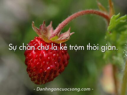 Sự chần chừ là kẻ trộm thời gian.